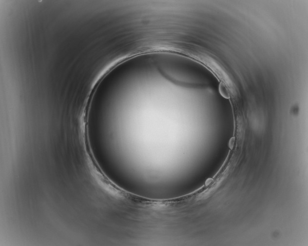 X0000097900814200803211440