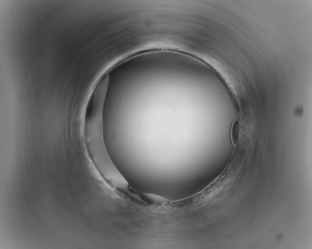 X0000097900815200803211440