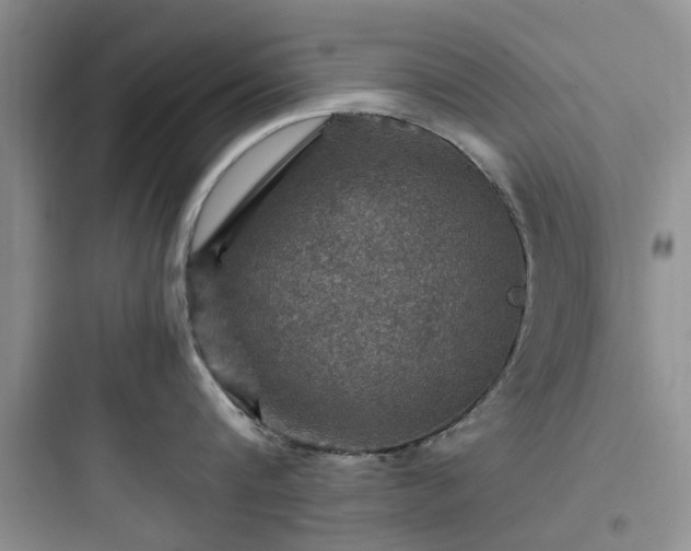 X0000097900816200803211440