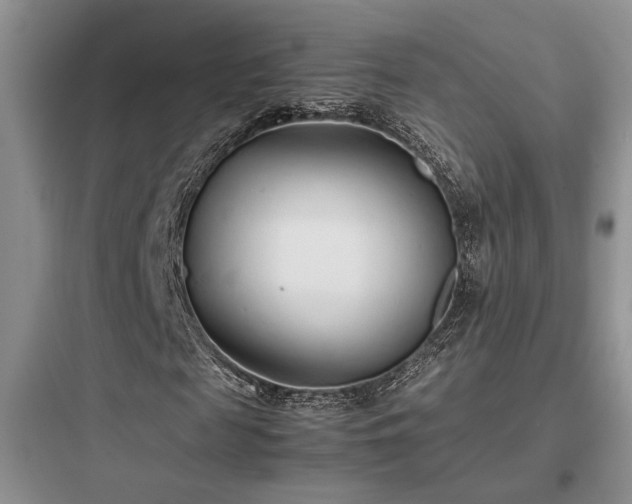 X0000097900817200803211439
