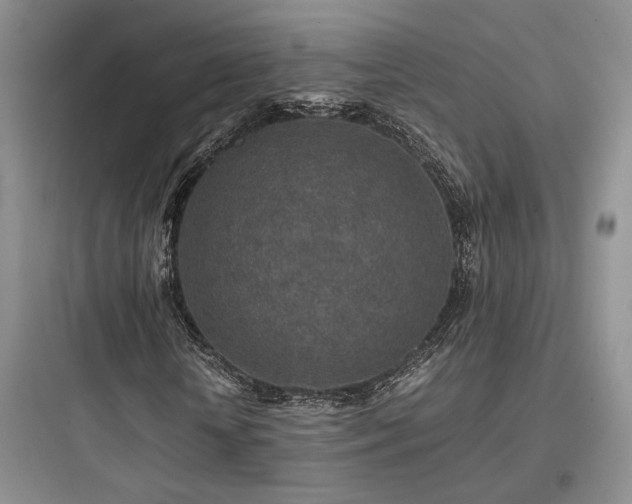 X0000097900818200803211439