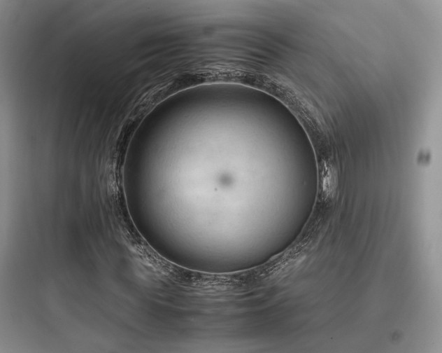 X0000097900819200803211439