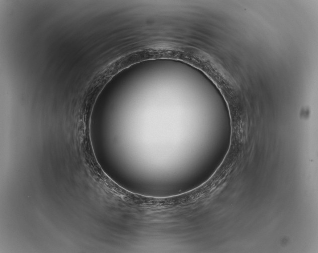 X0000097900821200803211439