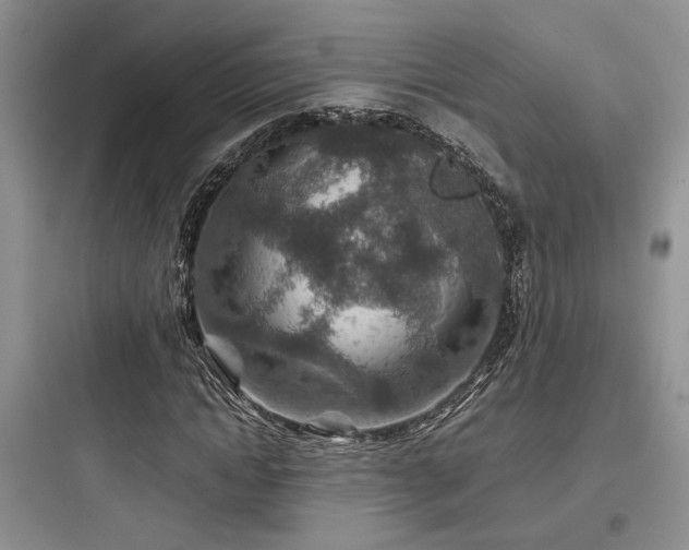 X0000097900822200803211439