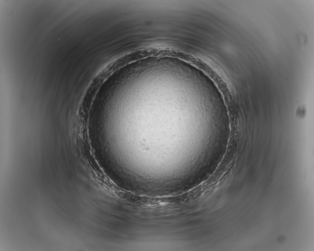 X0000097900823200803211439