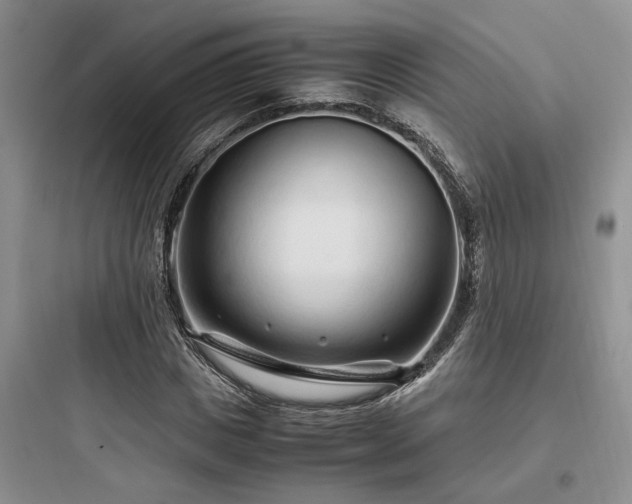 X0000097900825200803211439