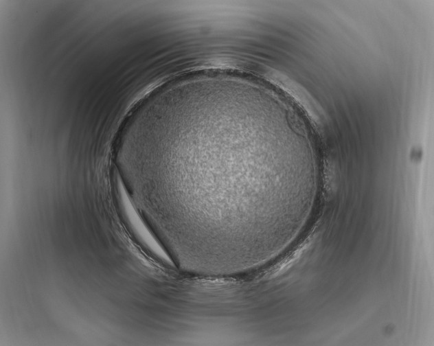 X0000097900826200803211439