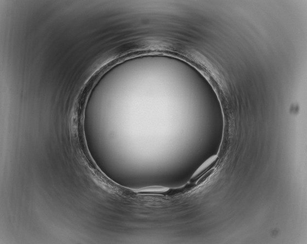 X0000097900827200803211439