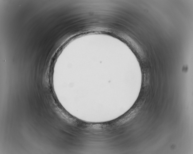X0000097900828200803211439