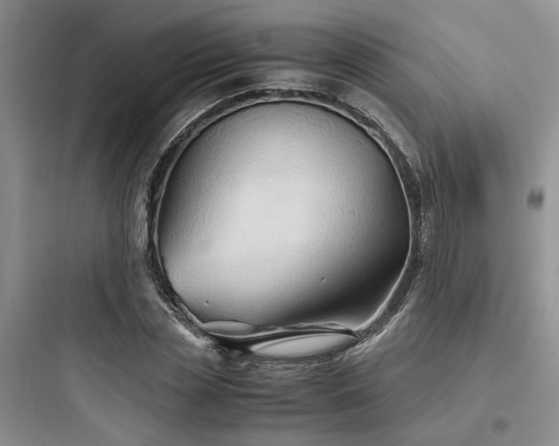 X0000097900829200803211439