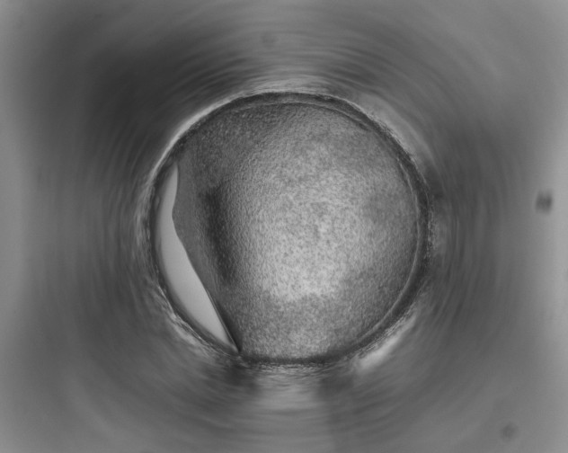 X0000097900830200803211439