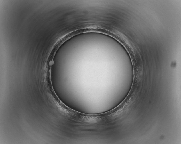 X0000097900831200803211439