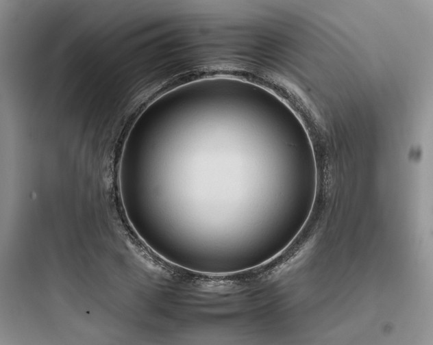 X0000097900833200803211439