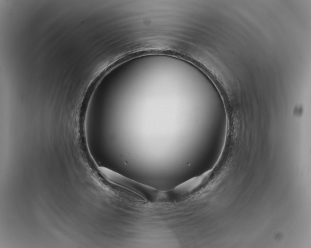 X0000097900834200803211439