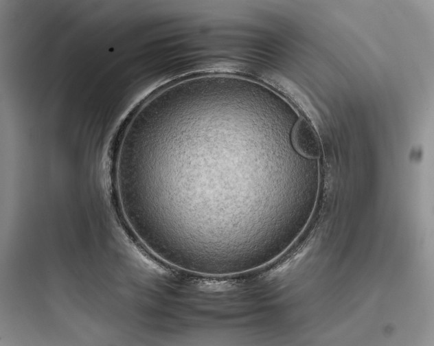 X0000097900835200803211439