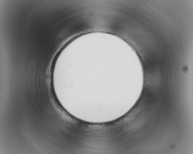 X0000097900836200803211439