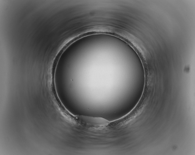 X0000097900837200803211439