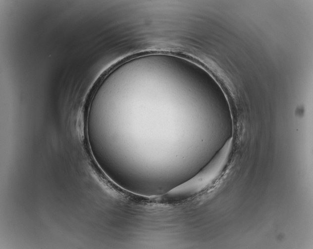 X0000097900838200803211439