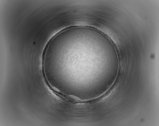 X0000097900839200803211439
