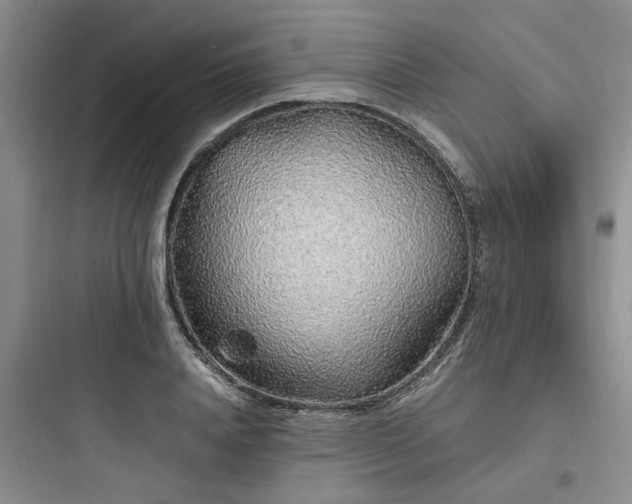 X0000097900840200803211439