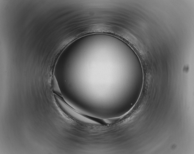 X0000097900841200803211439