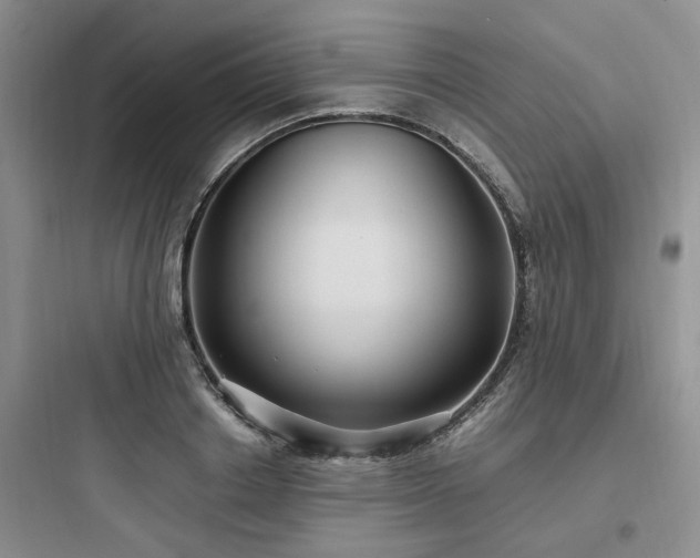 X0000097900842200803211439