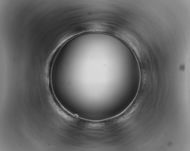 X0000097900843200803211439