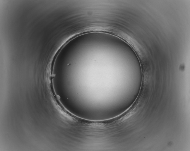 X0000097900844200803211439