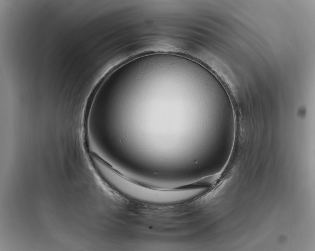 X0000097900845200803211439