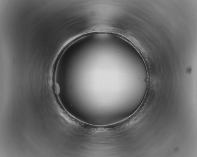 X0000097900846200803211439