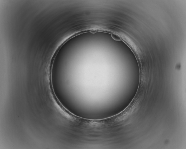 X0000097900847200803211439