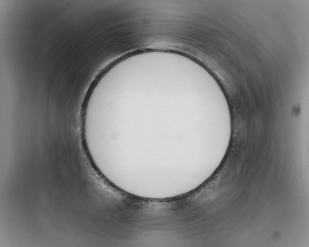 X0000097900848200803211439
