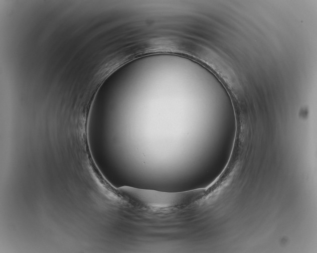 X0000097900849200803211439