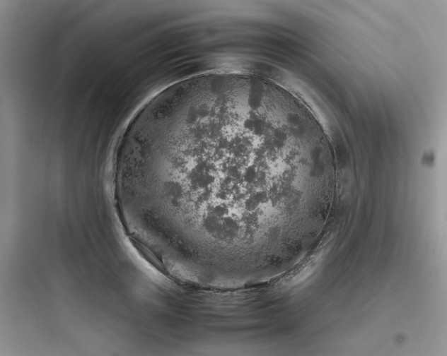 X0000097900851200803211439