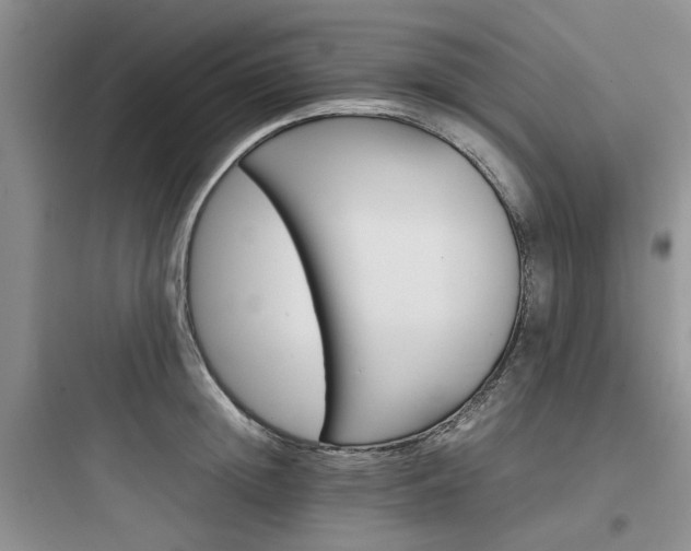 X0000097900852200803211439