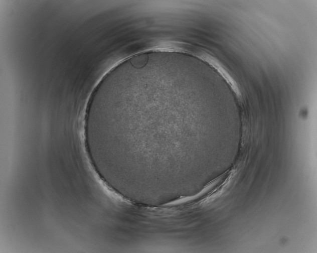 X0000097900853200803211439