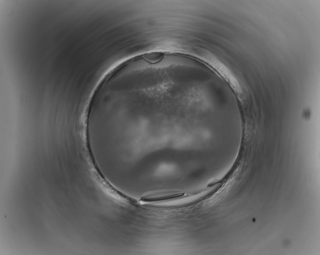 X0000097900854200803211439