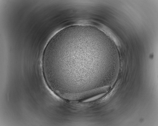 X0000097900855200803211439