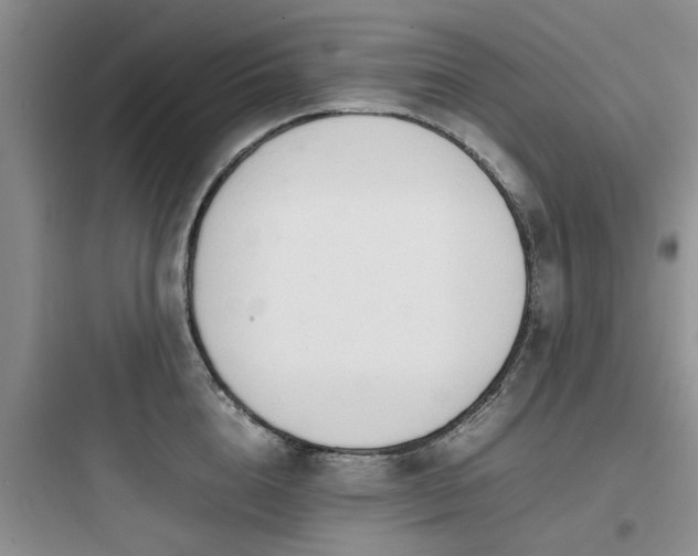 X0000097900856200803211440