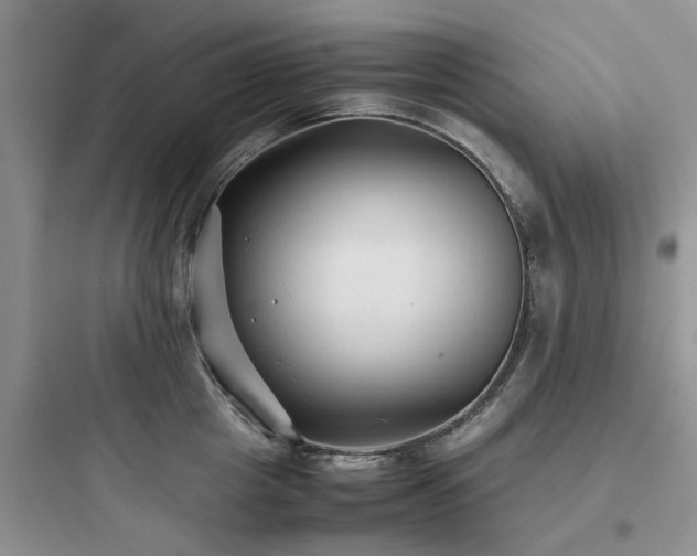 X0000097900857200803211440