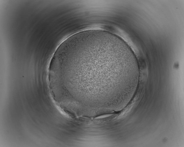 X0000097900858200803211440