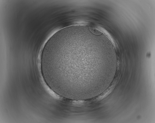 X0000097900859200803211440
