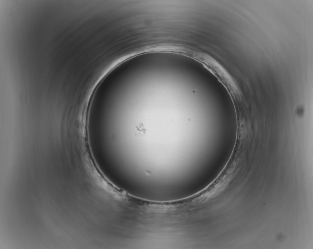 X0000097900860200803211440