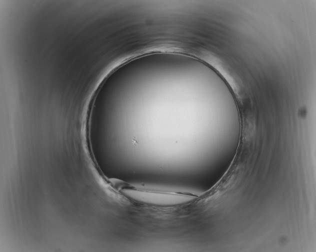 X0000097900861200803211440
