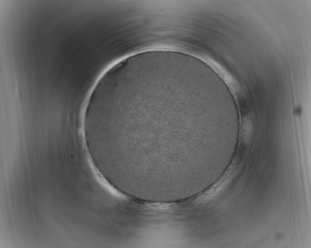X0000097900862200803211440