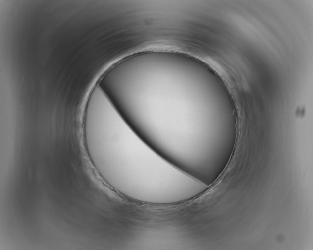 X0000097900864200803211440