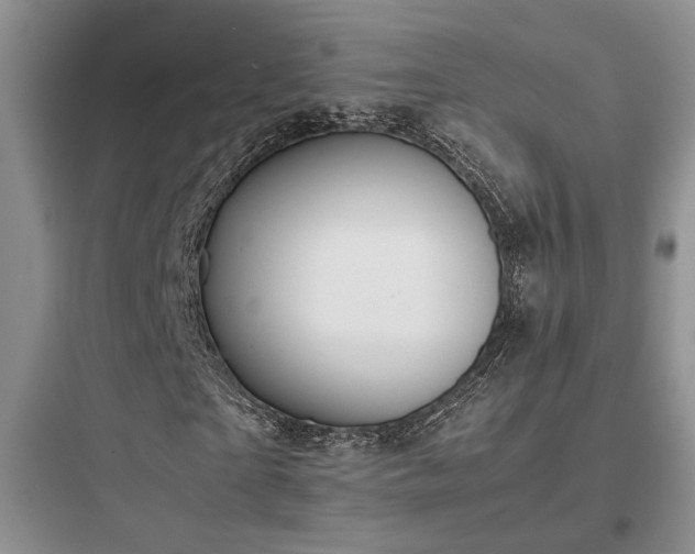 X0000097900865200803211439