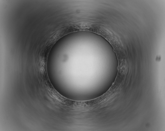 X0000097900866200803211439