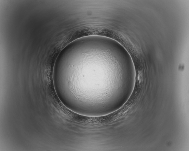 X0000097900867200803211439
