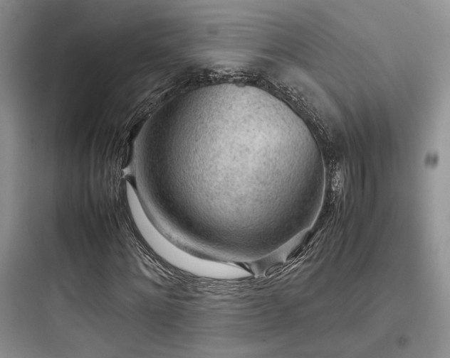 X0000097900868200803211439